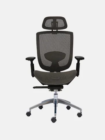 Ghế công thái học SIGIS